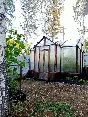 greenhouse in the English style