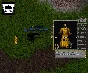 Ultima online - Olmer online "Race pack"