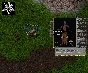 Ultima online - Olmer online "Race pack"