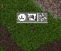 Ultima online - Olmer online "Race pack"