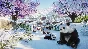 Planet Zoo Deluxe Edition (steam key) -- RU