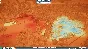 Planet Zoo Deluxe Edition (steam key) -- RU