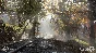 Fallout 76 Wastelanders Deluxe Edition (steam)