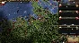 Europa Universalis IV: Mare Nostrum > DLC | STEAM KEY