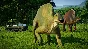 Jurassic World Evolution Claires Sanctuary steam -- RU