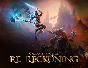 Kingdoms of Amalur ReReckoning (steam key)