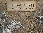 Field of Glory II Age of Belisarius (steam key)