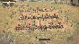 Field of Glory II Immortal Fire (steam key)