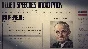 Hearts of Iron IV Allied Speeches Pack (steam)