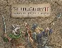 Field of Glory II Wolves at the Gate (steam key)