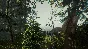 🔶 The Forest  (STEAM GIFT RU)+BONUS