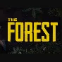 🔶 The Forest  (STEAM GIFT RU)+BONUS