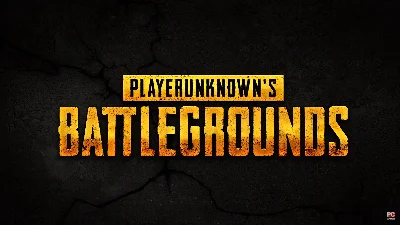 PLAYERUNKNOWN´S BATTLEGROUNDS (PUBG) - Официальный ключ