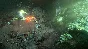 Shadows: Awakening  💎STEAM KEY RU+CIS LICENSE