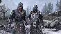 👻TESO Greymoor Collector Upgrade (Steam/Ru)