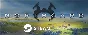 ⭐️ Northgard - STEAM (Region free)