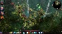 ⭐️ Divinity Original Sin 2 Definitive Edition - STEAM