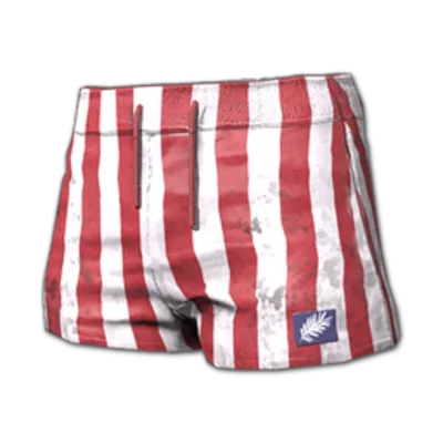 PUBG Retro Fern Set (легальный код) Все страны