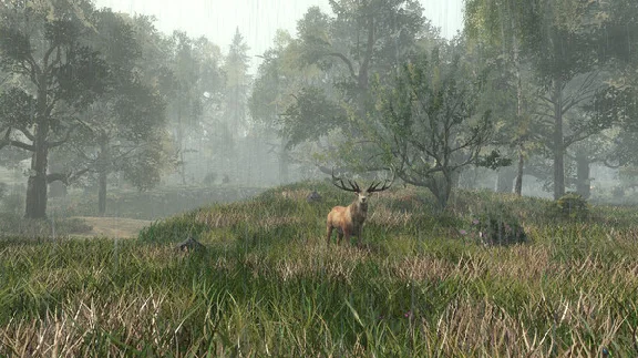 Life is Feudal: Forest Village (STEAM KEY/GLOBAL)+BONUS