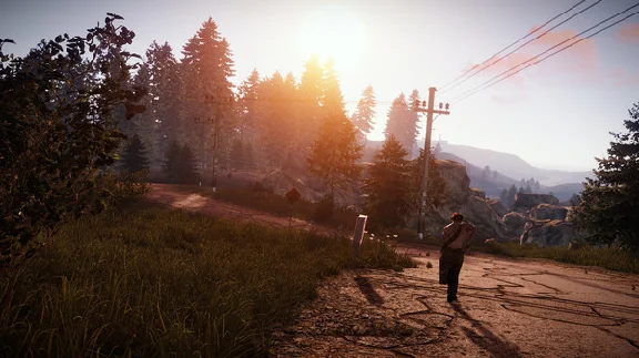 🔶 Rust (STEAM GIFT RU)+BONUS