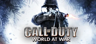 Call of Duty: World at War (Steam Gift RU)