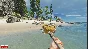 Stranded Deep (Steam Gift RU)