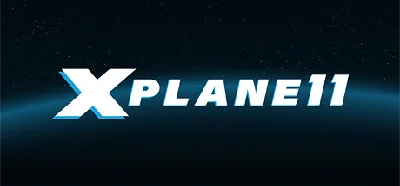 X-Plane 11 (Steam Gift RU)