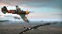 Steel Division 2 - History Pass (Steam Gift Россия)