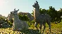 Planet Zoo: South America Pack (Steam Gift RU)