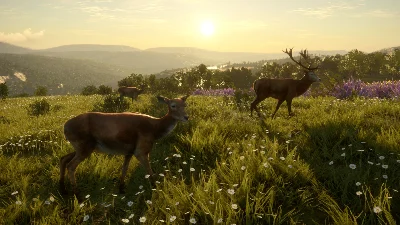 Call of the Wild - Cuatro Colinas Game Reserve Steam