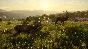 Call of the Wild - Cuatro Colinas Game Reserve Steam