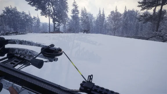theHunter: Call of the Wild - Weapon Pack 1 (team Gift
