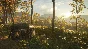 theHunter: Call of the Wild - Tents & Ground Blinds RU
