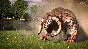 Serious Sam 4 (Steam Gift Россия)