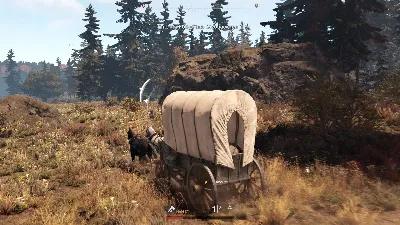 This Land Is My Land (Steam Gift RU)