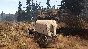 This Land Is My Land (Steam Gift RU)