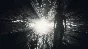 Fear the Dark Unknown (Steam Gift Россия)