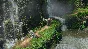 SpellForce 3: Fallen God. STEAM-key+GIFT (RU+CIS)