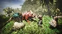 Conan Exiles - The Savage Frontier Pack (Steam Gift RU)