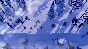 The Wild Eight (Steam Gift Россия)