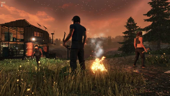 Subsistence (Steam Gift Россия)
