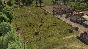 Banished STEAM•RU ⚡️АВТОДОСТАВКА 💳0%