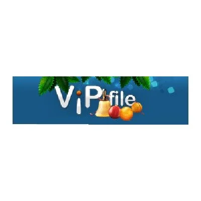 Gold-key Vip-File.com 30 days - 300 GB BEST PRICE