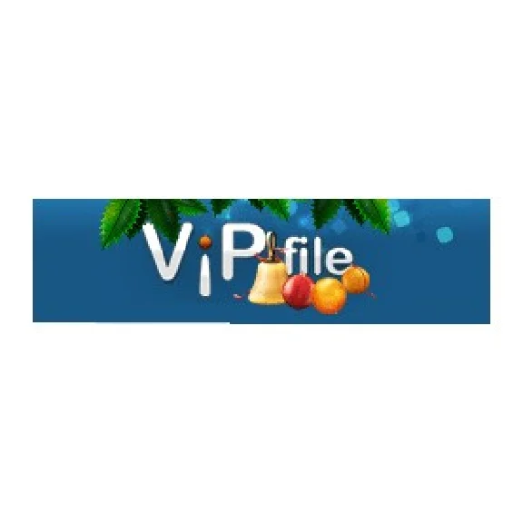 Gold-key Vip-File.com 30 days - 300 GB BEST PRICE