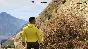 💥GTA 5 Online - Game currency and any level💥