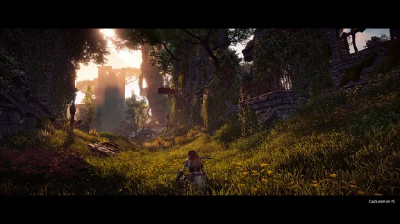Steam gift Russia - Horizon Zero Dawn