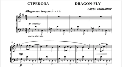 3s11 Dragon-fly, PAVEL ZAKHAROV / piano