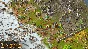 Townsmen - A Kingdom Rebuilt (Steam Key/Region Free)