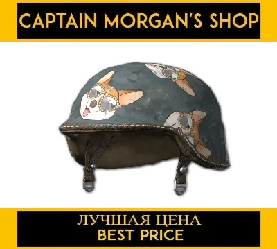 PUBG 2020 Corgi Helmet 2 (legal code) Region free