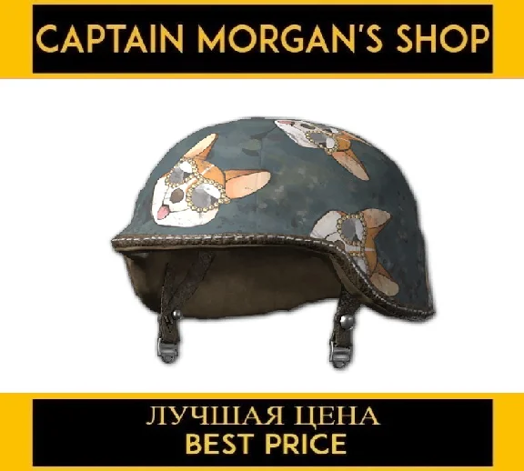 PUBG 2020 Corgi Helmet 2 (legal code) Region free